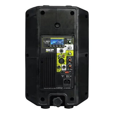 MINI PARLANTE PX-208