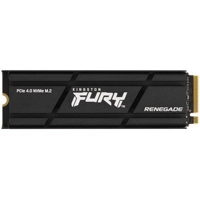 DISCO SSD M2 FURY RENEGADE